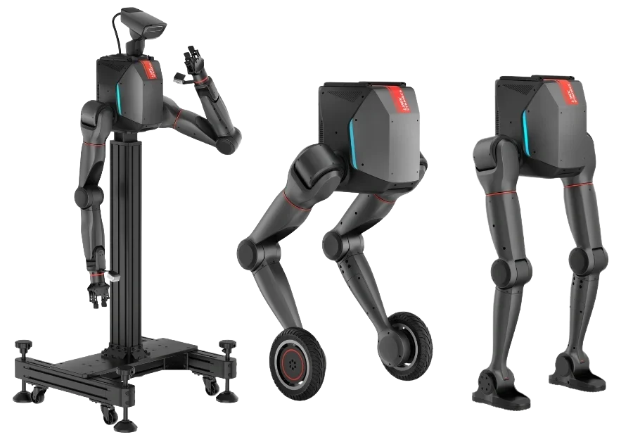 Robot Dog